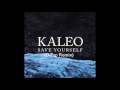 Kaleo Save Yourself DiPap Radio Edit