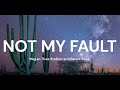 Megan Thee Stallion And Reneé Rapp Not My Fault Lyrics