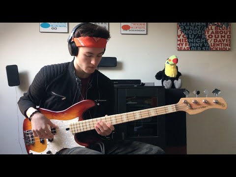Sire Marcus Miller V7 vs P7 Bass Guitar Demo