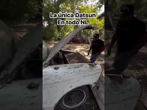 La única Datsun así en todo México
