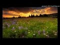 String Cheese Incident - "MLT" (Madison Theatre, 4/8/00)