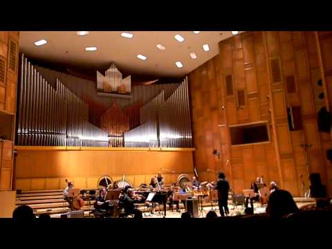 Iancu Dumitrescu - Sala Radio 2011.MOV