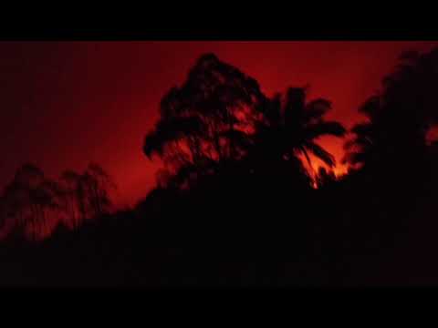 Walk with Goliath June 4, 2018