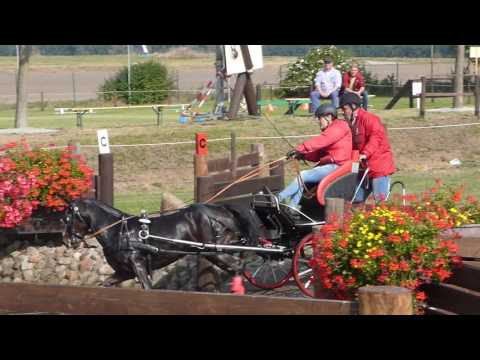 Ersek, Anett, HUN, EU CH For Young Drivers 2016 Schildau GER, Single Ponies, Junior, Marathon Ob6