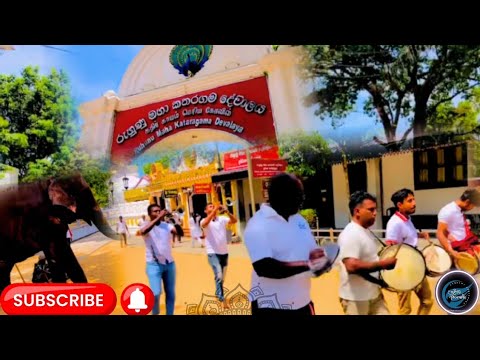 රුහුණු මහා කතරගම දේවාලයේ🦚🎺 ගහාපු ඒ පපරේ🎺 පාර💖🔥(කදිර සුරිඳුනේ)#papare #kawadi #kataragama#srilanka