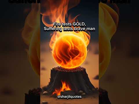 Find your inner Fire #quotes #englishquotes #bestquotes #viral #viral #youtube @stoicwisdomquotes