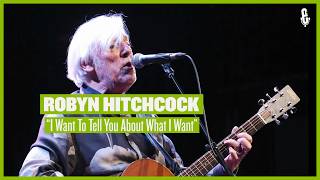 Robyn Hitchcock - "I Want To Tell You About What I Want" (live on eTown)