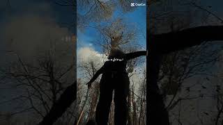 Download lagu #lyricssong #song #lyricvideo #jungle #music mp3 Download lagu #lyricssong #song #lyricvideo #jungle #music mp3