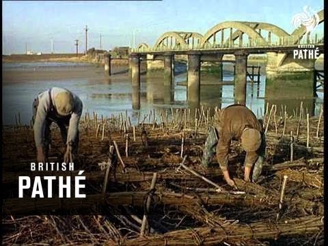 Cuts / Out Takes For Cp 527 - Electric Engraving, Water Mattress, Fire Eating Family (1965)