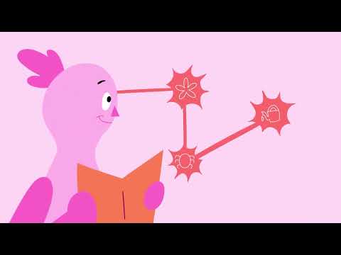 Plasticidad cerebral: ¿De qué se trata? | Sana Mente — CNN Chile