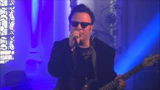 Mercury Rev - Opus 40 (Live in Cork 2018)