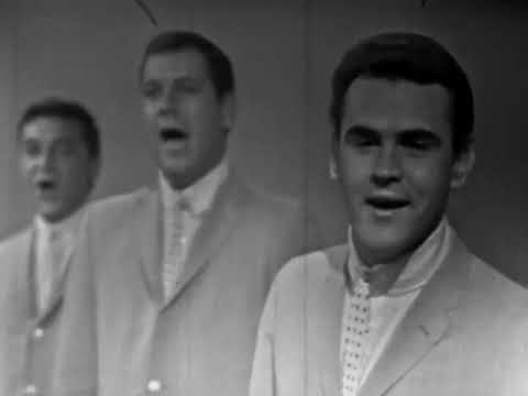 The Delltones - She’s Just My Style (1966)