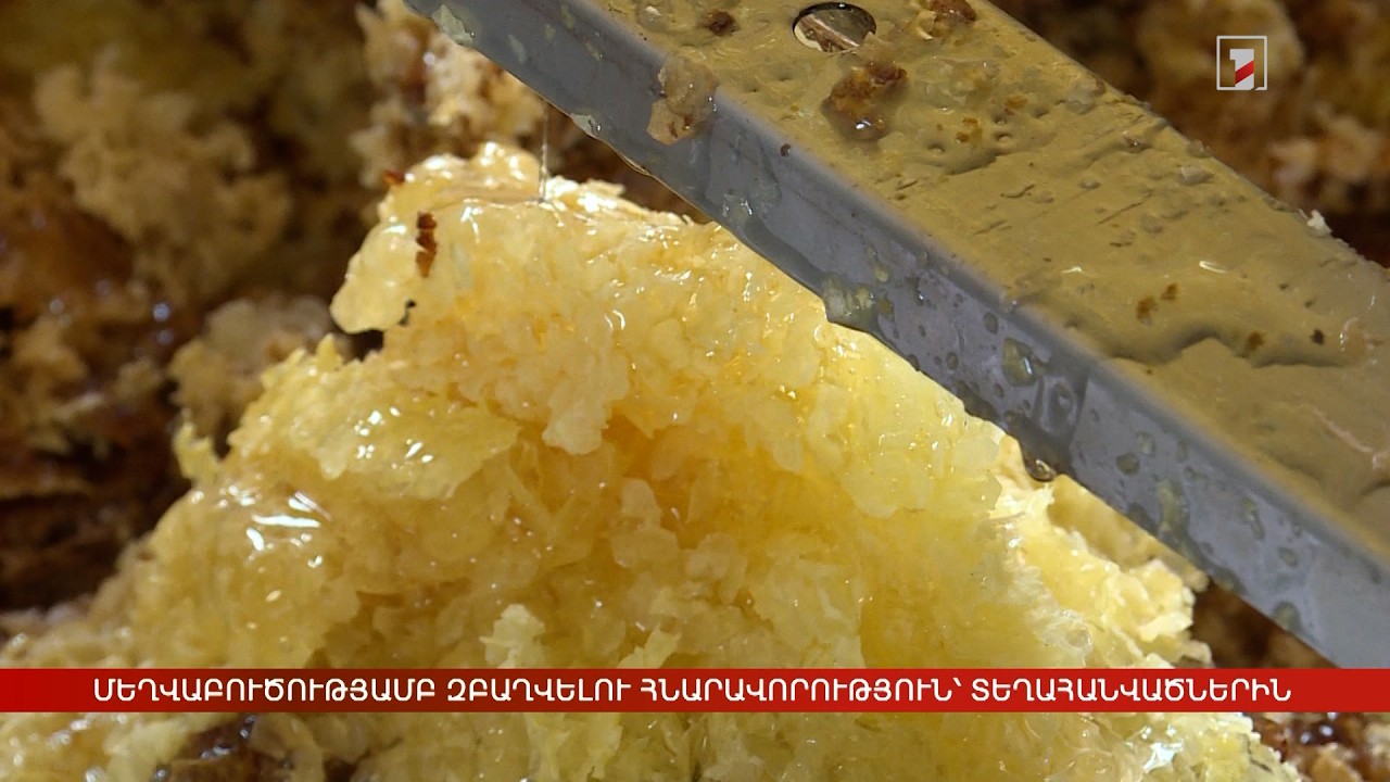 Մեղվաբուծությամբ զբաղվելու հնարավորություն՝ տեղահանվածներին