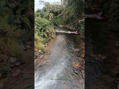 Río calmitoyaku.  Archidona - Napo