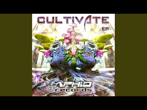 Suspension (Orignal Mix)