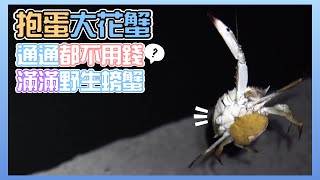 【釣蝦小益思】爆蛋大花蟹  在地人的冰箱  歡迎自取  #釣蝦 #i呀我的蛋 #新聞 #主播 Shrimpfishing  エビ釣り  새우 낚시