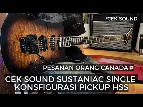 SUSTAINER TYPE NATURAL SINGLE image 7