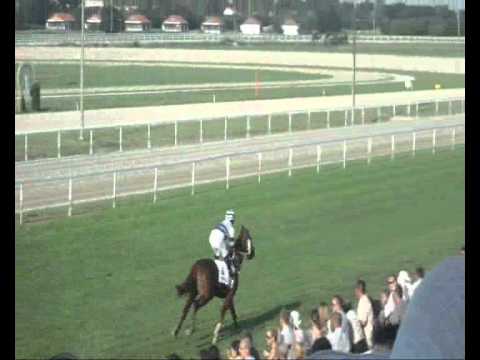 90. Magyar Derby- All Around The World