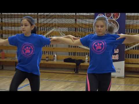 Sportkorzó - Pink Panthers / TV Szentendre / 2018.02.13.