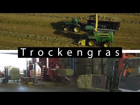 Trockengras - Das klevere Konservierungsverfahren
