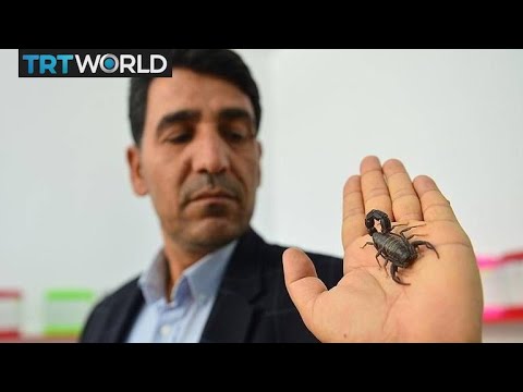 Entrepreneurs seek to turn poison into profit | Money Talks