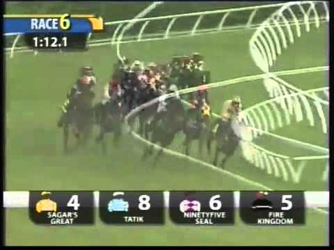 20101219 KL DA MA CAI STAKES CLASS 1 & 2 1700M (LC) - FLYING CAT (I Azhar)