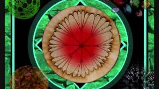Medicine Drum- Shamans Prayer