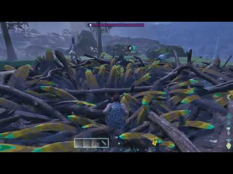 THESE EGGS ARE USEFUL (VALGUERO EP 8)