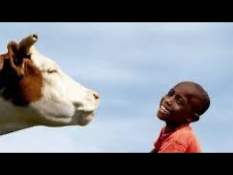 Home of the Brave Book Trailer