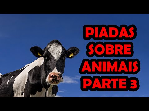 Jokes about animals, part 3 - comedian Thiago Dias