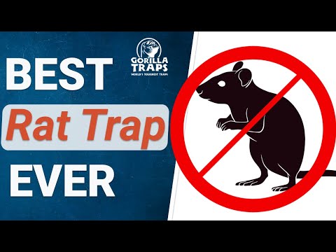 Why Gorilla Traps? Because of Humaneness!!