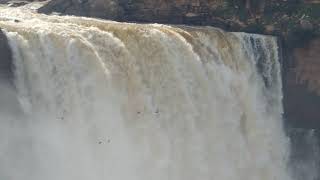 preview picture of video 'Gokak falls'