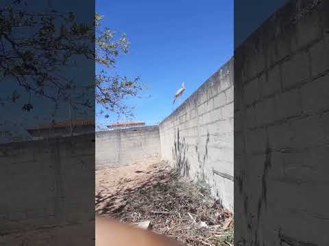 Passa tempo #minasgerais #passatempo