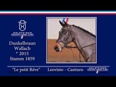 Holsteiner Frühjahrsauktion 2020 - Nr. 121 Le petite Rêve v. Leovisto - Canturo