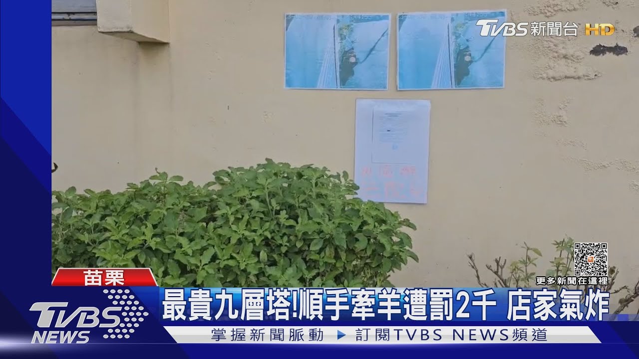 最貴九層塔!順手牽羊遭罰2千 店家氣炸