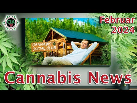 Canna News Februar 2024 - Tschechien, Deutschland, Malta, Russland, USA, England, Österreich