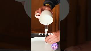 Download lagu My kind of science project 😳 mp3