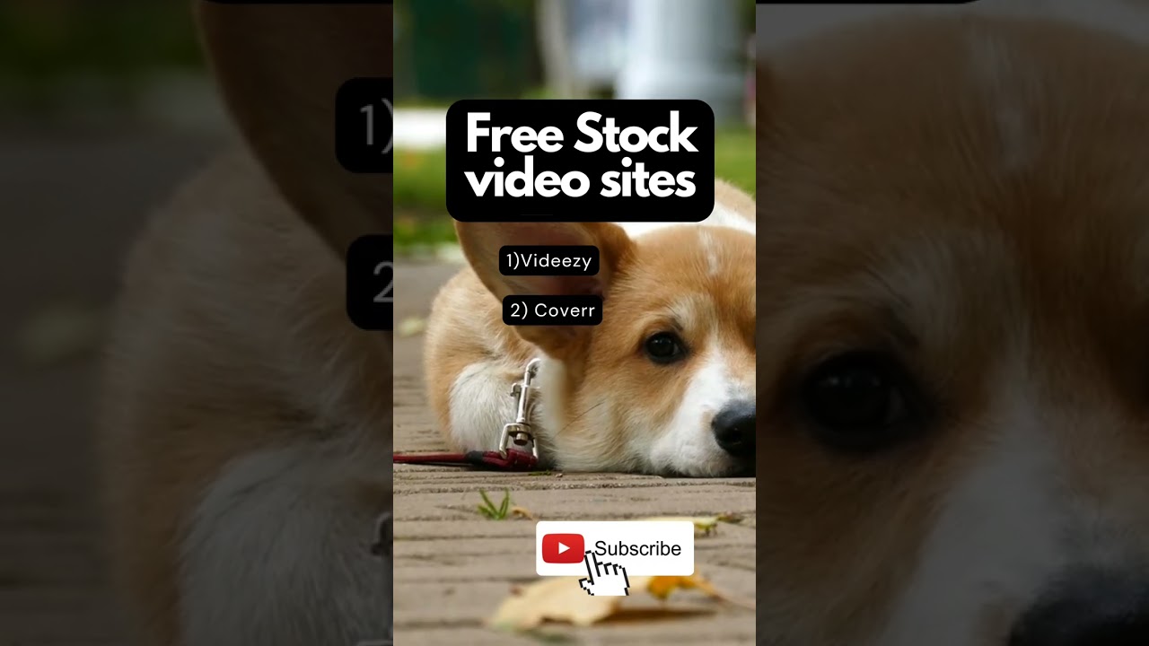 5 sites for Free Stock videos  #shorts