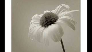 Stanisław Sojka " Tolerancja "