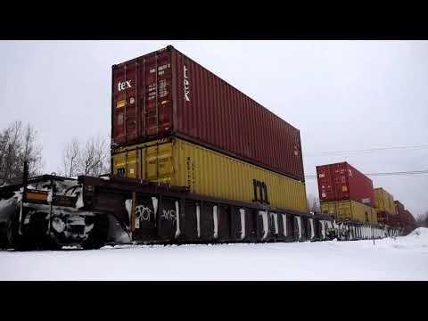More MSC Containers! Extra Stack Train CN X120 at Berry Mills, NB