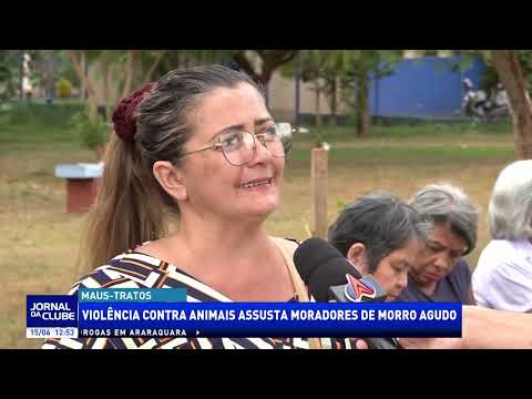 Violência contra animais assusta moradores de Morro Agudo + LINK - Jornal da Clube (15/06/26)