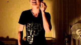 At The Skylines - The Amazing Atom (vocal cover)