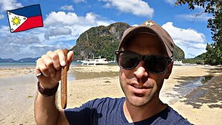 I Wish I Knew THIS Before El Nido, Philippines!