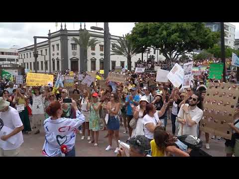 #Directo Especial | Manifestación 20A