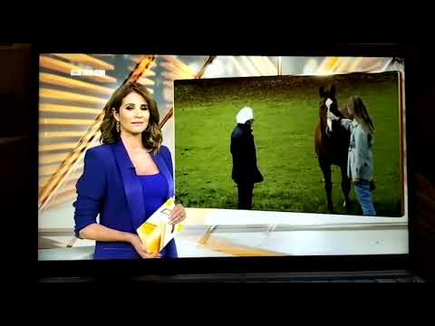 Verbotene Methoden im Reitsport