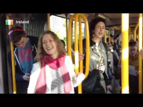 The Liberators -Three Little Birds