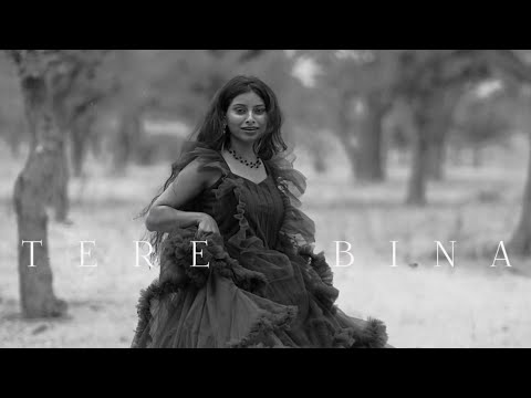 Tasleema Nasreen Khan  Tere Bina 