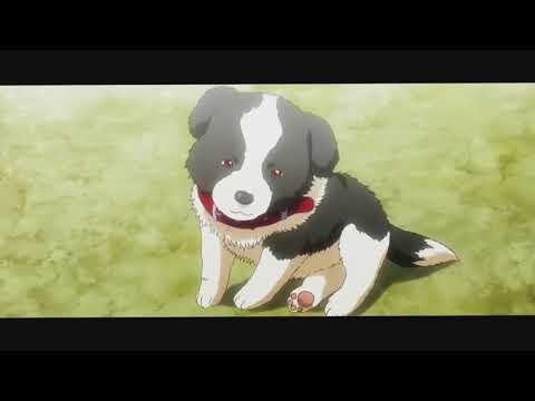 Grisaia「AMV」- Careless Whisper