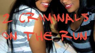 ☠ Criminals on the Run  ☠ || Introduction 1/2 ||