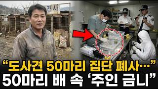 Download lagu 2005년 개 사육장 주인 실종, 굶주린 도사견 50마리의 배설물 속에서 발견된 주인의 금니 | 실제 이야기 | 바이럴 이야기 | 바이럴 이야기 | 트렌딩 이야기 mp3